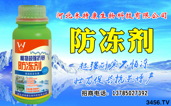 ϲӱؿﺞs3456.TV(zhn)(j)ل(chung)ѿ(j)