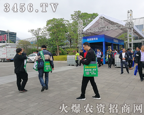 r(nng)YW(wng)־P(yng)鞢M2019ֲ