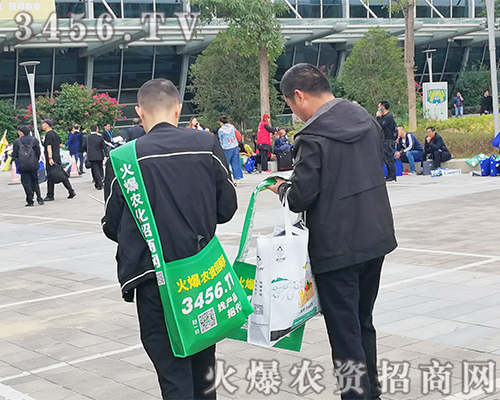 (zhn)fɾ͸r(nng)YW(wng)2019ֲ