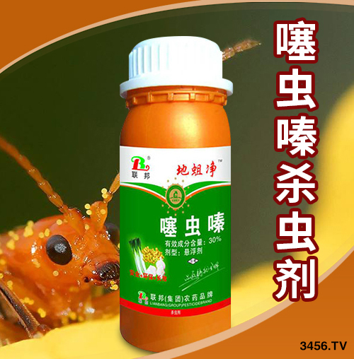 2019r(nng)ˎI(y)10Ʒаҕԣr(nng)ˎxã