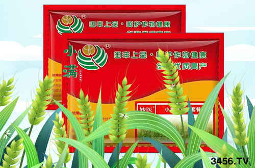 ol(f)СlPǰl(f)ǧfҪ裡