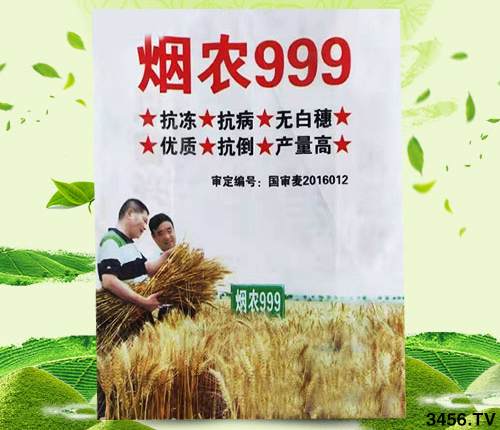 Сʲôr򶬹횜ʴ_Дԓ಻к󻼣