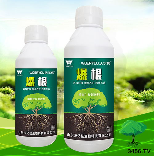 ش_(qun)Y(ji)r(nng)˳һa(b)5f˳һ800ԪxĂ