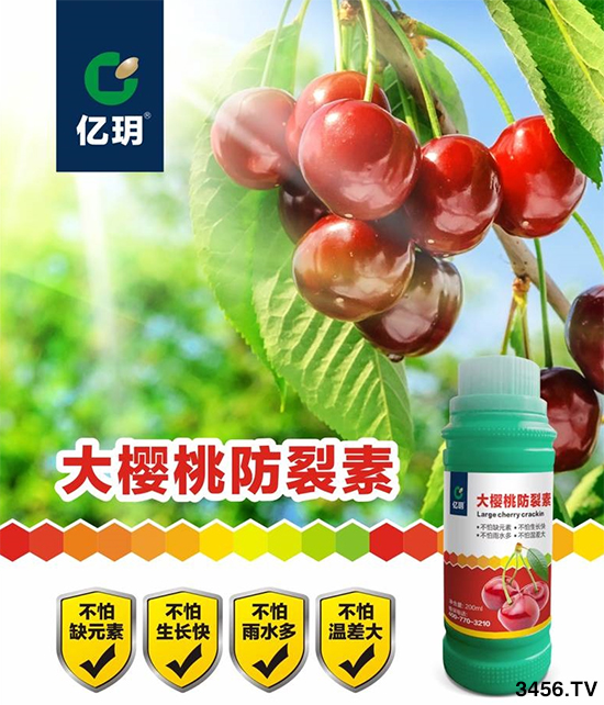 2020N10ҴsٍXFڙXһmϷNֲʲôطxδʩЩ