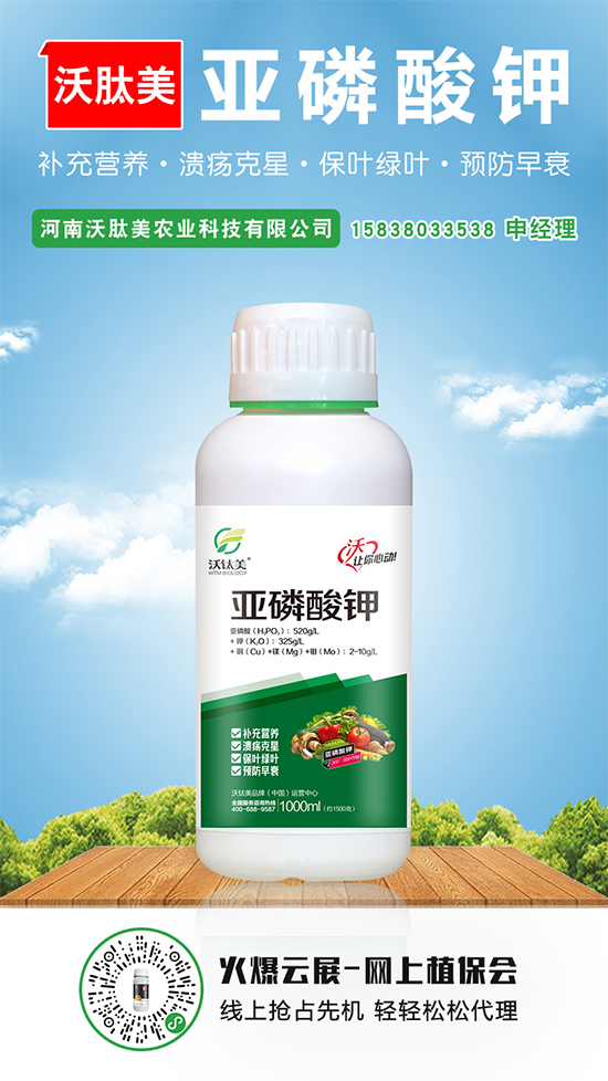 2020-5-16本周磷銨價(jià)格行情周報(bào) 2020-5-16本周磷銨價(jià)格行情周報(bào)