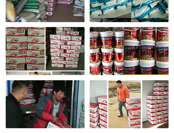 鑻卞浗鍗¤開澶紙鍖椾含錛夊啘涓氱鎶鏈夐檺鍏徃浜у搧_10.jpg 鑻卞浗鍗¤開澶紙鍖椾含錛夊啘涓氱鎶鏈夐檺鍏徃浜у搧_10.jpg