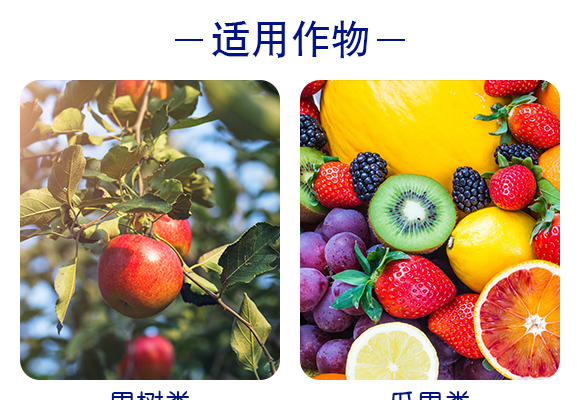 灞變笢寮哄啘鐢熺墿縐戞妧鏈夐檺鍏徃浜у搧璇︽儏欏?_05.jpg 灞變笢寮哄啘鐢熺墿縐戞妧鏈夐檺鍏徃浜у搧璇︽儏欏?_05.jpg