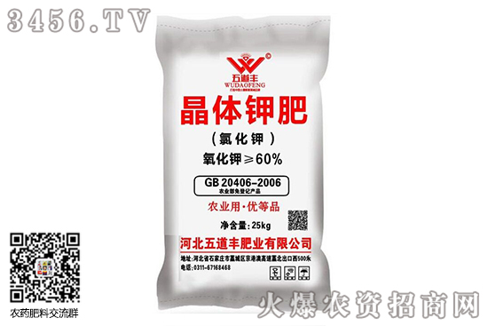 Ȼ⛻Сϝq2020-6-17Ȼ⛃r߄