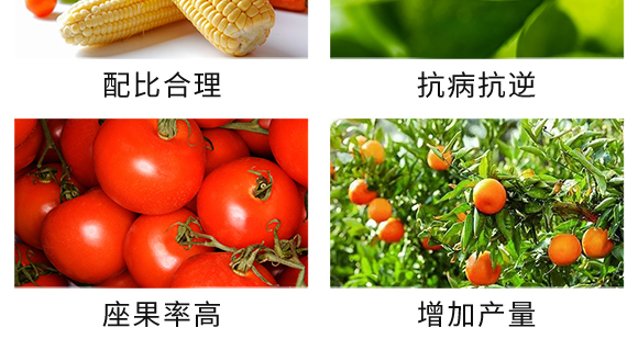 復(fù)合肥料27-13-10-土蜘蛛-根力寶 復(fù)合肥料27-13-10-土蜘蛛-根力寶