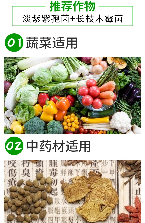 微生物菌劑-根無線-浩達 微生物菌劑-根無線-浩達