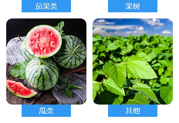 平衡型含氨基酸水溶肥料20-20-20-奧睿施 平衡型含氨基酸水溶肥料20-20-20-奧睿施