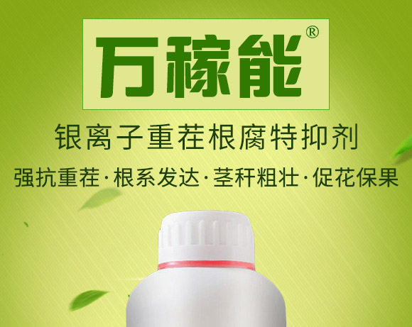 銀離子重茬根腐特抑劑-萬(wàn)稼能-乾農(nóng) 銀離子重茬根腐特抑劑-萬(wàn)稼能-乾農(nóng)