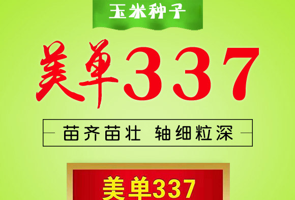 美單337-玉米種子-中科正高 美單337-玉米種子-中科正高