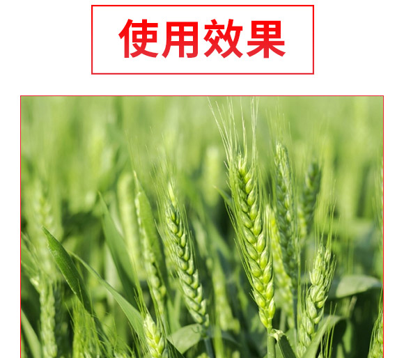 礦源黃腐酸氮肥-黑金旺-復(fù)寶作物 礦源黃腐酸氮肥-黑金旺-復(fù)寶作物