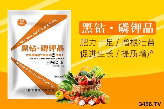 Z＼g(sh)޹˾I(yng)Щa(chn)Ʒ