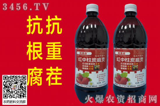 ݮ̿Ҳʲôr(nng)ˎ