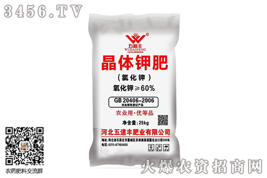 ЈrС{(dio)2020-10-13؃rr