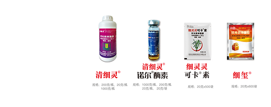 ɹنμ(x)-(x)t-r(nng)