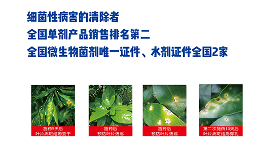 ɹنμ(x)-(x)``ɿ-r(nng)