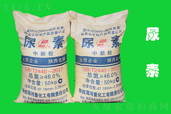 ֹ?ji)q2020-11-17؃rr