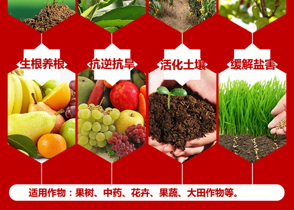 娌沖崡縐戣彶濮嗙敓鐗╃鎶鏈夐檺鍏徃2_05.jpg 娌沖崡縐戣彶濮嗙敓鐗╃鎶鏈夐檺鍏徃2_05.jpg