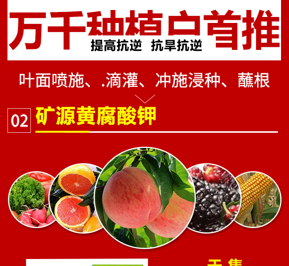 娌沖崡縐戣彶濮嗙敓鐗╃鎶鏈夐檺鍏徃2_06.jpg 娌沖崡縐戣彶濮嗙敓鐗╃鎶鏈夐檺鍏徃2_06.jpg