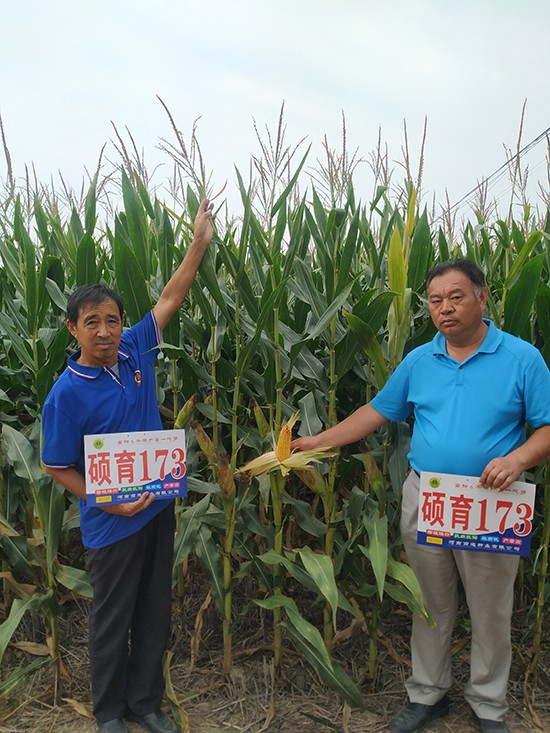 T1734500-׷N-̵NI(y)