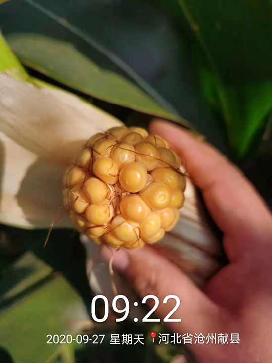 T1734500-׷N-̵NI(y)