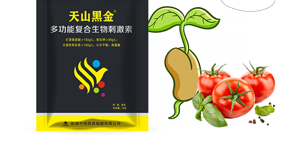 鏂扮枂涓壒鐓よ厫妞嶉吀鏈夐檺鍏徃2_02.png 鏂扮枂涓壒鐓よ厫妞嶉吀鏈夐檺鍏徃2_02.png