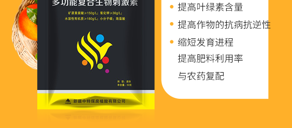 鏂扮枂涓壒鐓よ厫妞嶉吀鏈夐檺鍏徃2_04.png 鏂扮枂涓壒鐓よ厫妞嶉吀鏈夐檺鍏徃2_04.png