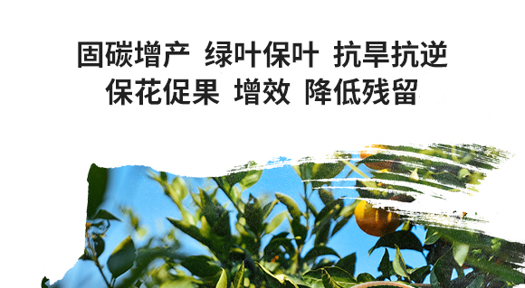 鏂扮枂涓壒鐓よ厫妞嶉吀鏈夐檺鍏徃2_05.jpg 鏂扮枂涓壒鐓よ厫妞嶉吀鏈夐檺鍏徃2_05.jpg