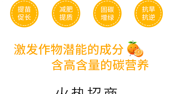 鏂扮枂涓壒鐓よ厫妞嶉吀鏈夐檺鍏徃2_07.png 鏂扮枂涓壒鐓よ厫妞嶉吀鏈夐檺鍏徃2_07.png