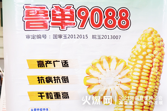 ۽չЈ2021ļNӕAڴWR