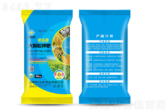 ⛷ʴ100Ԫ202184Շ(ni)⛷ʈr