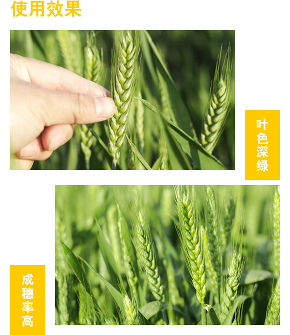 6374736688610179359230353.jpg 6374736688610179359230353.jpg