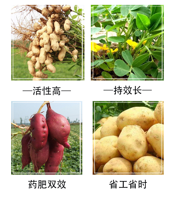 鍣昏櫕鑳?澶╂鼎涓夌_03.jpg 鍣昏櫕鑳?澶╂鼎涓夌_03.jpg