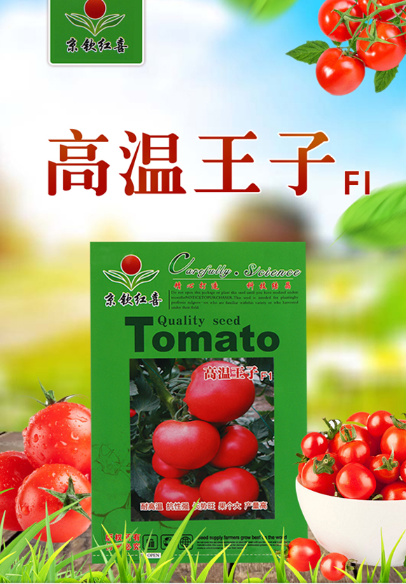 楂樻俯鐜嬪瓙F1-浜綰㈠枩_01.jpg 楂樻俯鐜嬪瓙F1-浜綰㈠枩_01.jpg