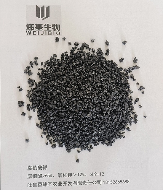 QQ鍥劇墖20231021114753.jpg QQ鍥劇墖20231021114753.jpg