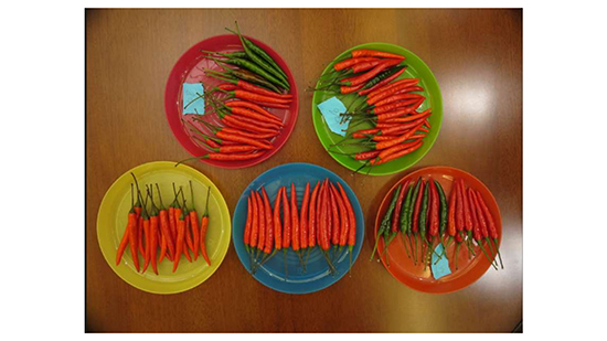 鍖椾含鏄ュゥ-澶╃孩錛圢O.9錛夋湞澶╂鍝佺綆浠?1)_08.jpg 鍖椾含鏄ュゥ-澶╃孩錛圢O.9錛夋湞澶╂鍝佺綆浠?1)_08.jpg