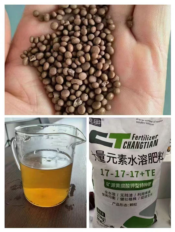 寰俊鍥劇墖_20250304104440.jpg 寰俊鍥劇墖_20250304104440.jpg