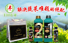 ۹Sr(nng)I(y)Ƽl(f)չ޹˾