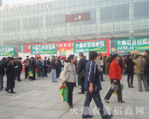 P(yng)ŵL(fng)չʾഺL(fng)