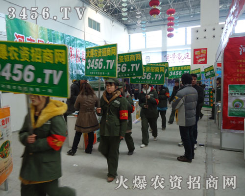 ˈF(tun)Y(ji)^M(jn)ӡӛr(nng)Y(hu)