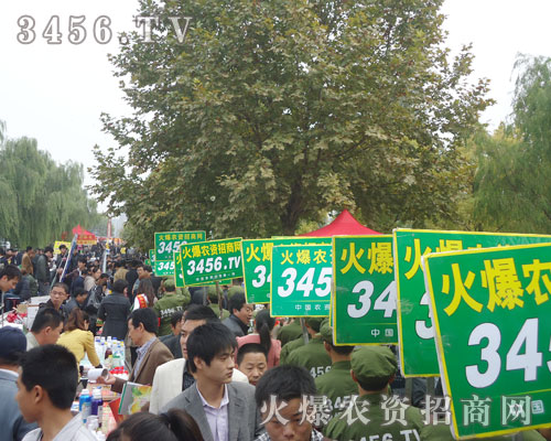 r(nng)Y̾W(wng)ǰ