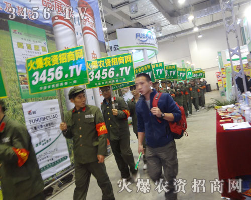 𱬾W(wng)೬Խl(f)չ