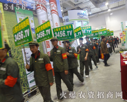 ɽ|ֲ(hu)Äݴ(qing)׌