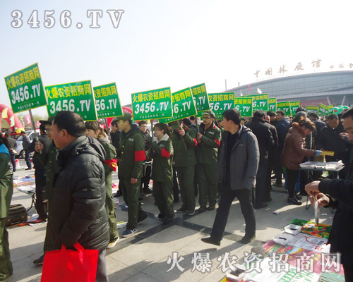 r(nng)Y̾W(wng)l(f)D(qing)ͣϢ