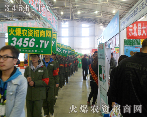 2013Lϕr(nng)YˈԳֵ