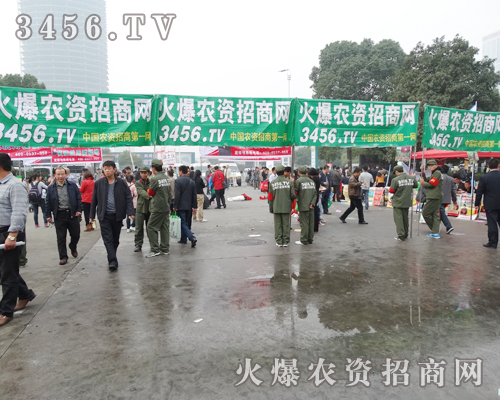 r(nng)YW(wng)Ì(sh)_һƬ