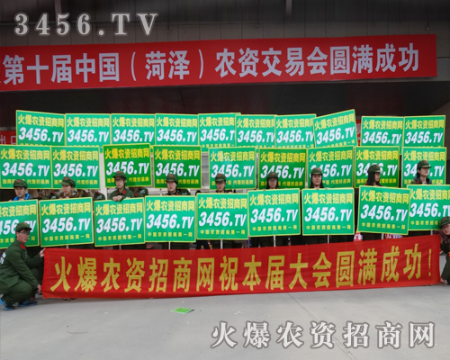 2015^лr(nng)Y̾W(wng)